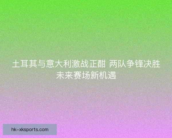 土耳其与意大利激战正酣 两队争锋决胜未来赛场新机遇